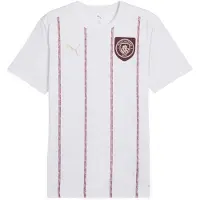 Puma Tricot 'Manchester City' bourgogne / wit