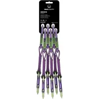 Wild Country - Klimsetjes - Session Quickdraw 6X12Cm Purple/Green voor Unisex van Nylon - Paars