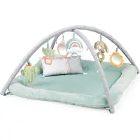 Ingenuity Baby activity gym pluche - - vanaf 0 maanden