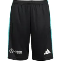 Adidas Sportbroek 'Mercedes - AMG Petronas Formula One Team' aqua / zwart / wit