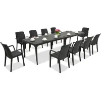 BICA Stijlvolle dinerset Oslo/Indiana 10 antraciet