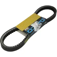 DAYCO Suzuki Epicuro 150 Transmissie Riem