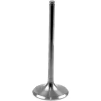 Athena Inlaatklep VI-510202T