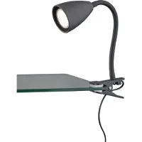 TRIO WANDA Klemlamp - Zwart mat