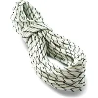 Tendon - Pro Work 11 - Statisch touw 60 m, grijs