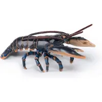 Papo Kreeft
