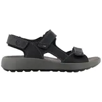 Ara 11-21506 piero