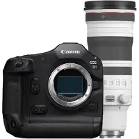 Canon EOS R1 + RF 100-300mm F/2.8L IS USM