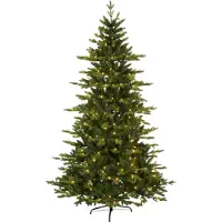 Star Trading Kerstboom "larvik" -210cm -600 leds -Ook geschikt voor buiten -lichtkleur: Warm Wit -met stekker -Kerstdecoratie