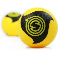 Spikeball Bal Pro (x2) | Maat 9 cm