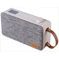 Scansonic Portable Speaker PA6000