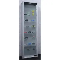 VCM Vitrinekast wandvitrine Edana maxi met LED zilver hangend of staand