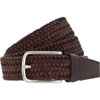 Vanzetti Riem bruin