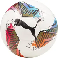 Puma Zaalvoetbal Maat 4 Wit Multicolor