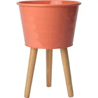 Intratuin Plantenteil Op Poten Mavi Oranje D 31 H 45 Cm