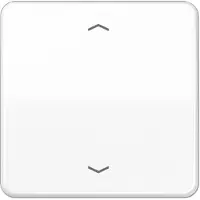 JUNG CD 1700 P WW: Bedieningsknop, standaard symbolen, pijlen. CD1700PWW