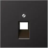 JUNG Inzetplaat Schakelmateriaal - AL2969-1UAD