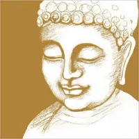 Ppd Lunch servetten - Buddha - 2 stuks