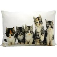 Mars & More canvas kussen kittens 35x50cm