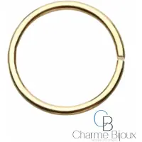Charme Bijoux Piercing oor Ring -Goudkleurig- 10 mm -