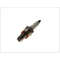 Ngk Bougie R0373A-10 4940, 1 Stuk