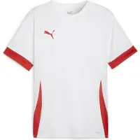 Puma Functioneel shirt 'TeamGoal Matchday' rood / wit