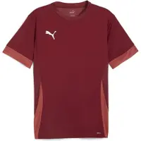 Puma Trainingsshirt teamGOAL - Bordeaux/Wit