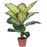 Buitengewoon Boet Kunst Dieffenbachia Dotied - 105 cm