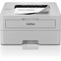 Brother Laserprinter HL-L2865DRE
