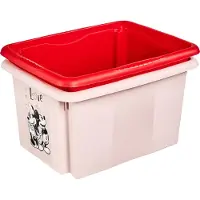 Keeeper Opbergdoos Minnie, 15 liter