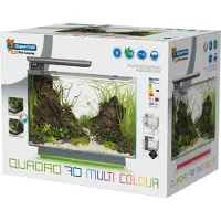 Superfish Quadro 70 multi colour wit