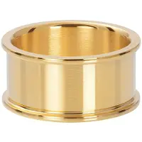 Ixxxi Basisring 10 mm Goud