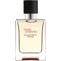 Hermès Paris Terre D'Eau de Parfum Intense 50 ml