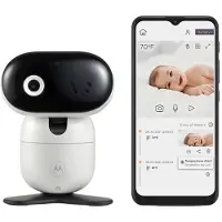 Motorola PIP1000