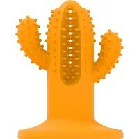 Afp - Dental Cactus Medium Orange 12,3 cm - (AFPH04197)