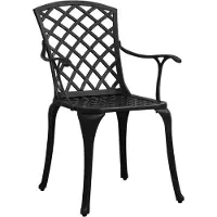 vidaXL Tuinstoelen 4 st gietaluminium zwart - Tuinstoel - Tuinstoelen - Stoel - Stoelen