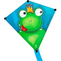 Elliot Eddy 75 Kids Kite - Pirate