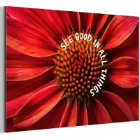 MuchoWow Aluminium schilderij 150x100 cm - Wanddecoratie metaal - Close up - Bloem - Quote - Rood - Metalen muurdecoratie woonkamer - Decoratie industrieel - Foto op dibond - Industriële accessoires slaapkamer