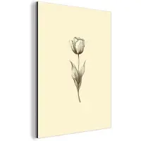 MuchoWow Aluminium schilderij 30x40 cm - Wanddecoratie metaal - Illustratie - Tulp - Zwart - Metalen muurdecoratie woonkamer - Decoratie industrieel - Foto op dibond - Industriële accessoires slaapkamer