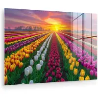 MuchoWow Glasschilderij 150x100 cm - Schilderij acrylglas - Tulpenveld - Zonsondergang - Kleurrijk - Foto op glas - Muurdecoratie woonkamer - Wanddecoratie slaapkamer - Schilderijen