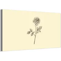MuchoWow Aluminium schilderij 80x40 cm - Wanddecoratie metaal - Illustratie - Zwart - Roos - Metalen muurdecoratie woonkamer - Decoratie industrieel - Foto op dibond - Industriële accessoires slaapkamer
