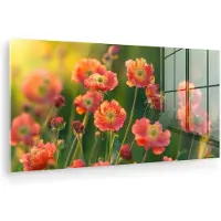 MuchoWow Glasschilderij 80x40 cm - Schilderij acrylglas - Bloemenveld - Zonnestralen - Oranje - Foto op glas - Muurdecoratie woonkamer - Wanddecoratie slaapkamer - Schilderijen