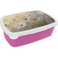 MuchoWow Broodtrommel Roze - Lunchbox Madeliefjes - Wit - Zonlicht - Brooddoos 18x12x6 cm - Brood lunch box - Broodtrommels voor kinderen en volwassenen