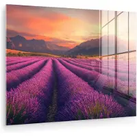 MuchoWow Glasschilderij 40x30 cm - Schilderij acrylglas - Lavendelveld - Zonsondergang - Paars - Foto op glas - Muurdecoratie woonkamer - Wanddecoratie slaapkamer - Schilderijen