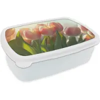 MuchoWow Broodtrommel Wit - Lunchbox Tulpen - Roze - Zonnestralen - Brooddoos 18x12x6 cm - Brood lunch box - Broodtrommels voor kinderen en volwassenen