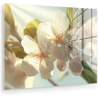 MuchoWow Glasschilderij 160x120 cm - Schilderij acrylglas - Bloesems - Wit - Zonnestralen - Bloemblaadjes - Foto op glas - Muurdecoratie woonkamer - Wanddecoratie slaapkamer - Schilderijen