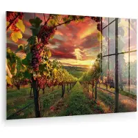 MuchoWow Glasschilderij 60x40 cm - Schilderij acrylglas - Wijngaard - Druiven - Zonsondergang - Foto op glas - Muurdecoratie woonkamer - Wanddecoratie slaapkamer - Schilderijen