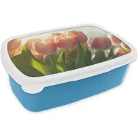 MuchoWow Broodtrommel Blauw - Lunchbox Tulpen - Roze - Zonnestralen - Brooddoos 18x12x6 cm - Brood lunch box - Broodtrommels voor kinderen en volwassenen