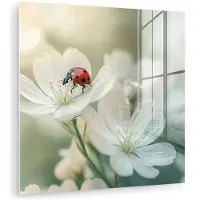 MuchoWow Glasschilderij 50x50 cm - Schilderij acrylglas - Lieveheersbeestje - Bloemen - Wit - Foto op glas - Muurdecoratie woonkamer - Wanddecoratie slaapkamer - Schilderijen