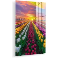 MuchoWow Glasschilderij 100x150 cm - Schilderij acrylglas - Tulpenveld - Zonsondergang - Kleurrijk - Foto op glas - Muurdecoratie woonkamer - Wanddecoratie slaapkamer - Schilderijen